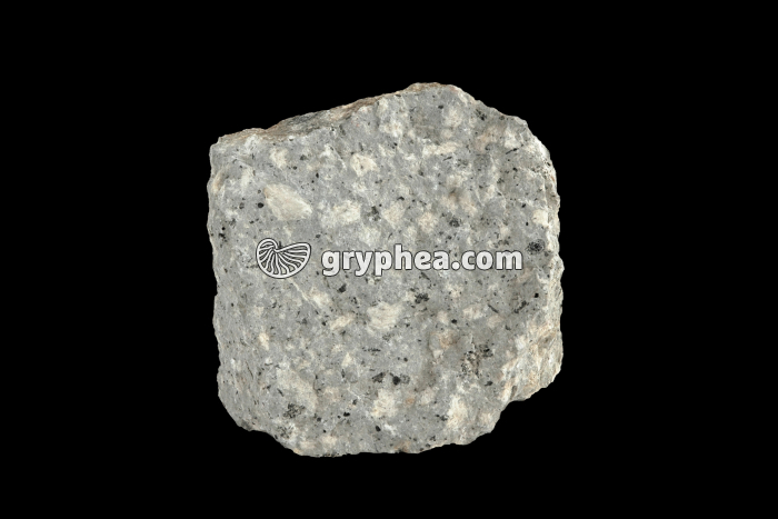 Trachyansésite - gryphea.com